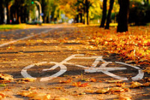 Fietstocht: geschiedenis en spookverhalen van de Osse hei