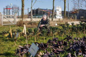 Heb je een groen idee? Ontdek welke subsidies je in 2026 kunt krijgen